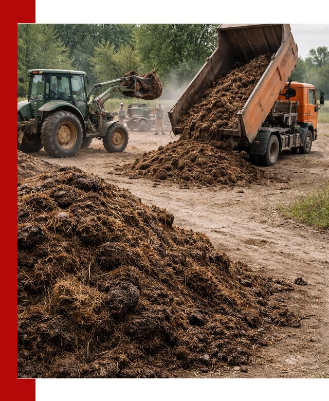 Доставка навоза самосвалами в Анапе для сельхозпотребностей