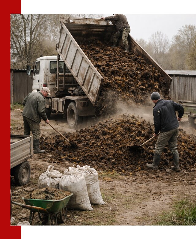 Доставка коровьего навоза самосвалом в Анапе